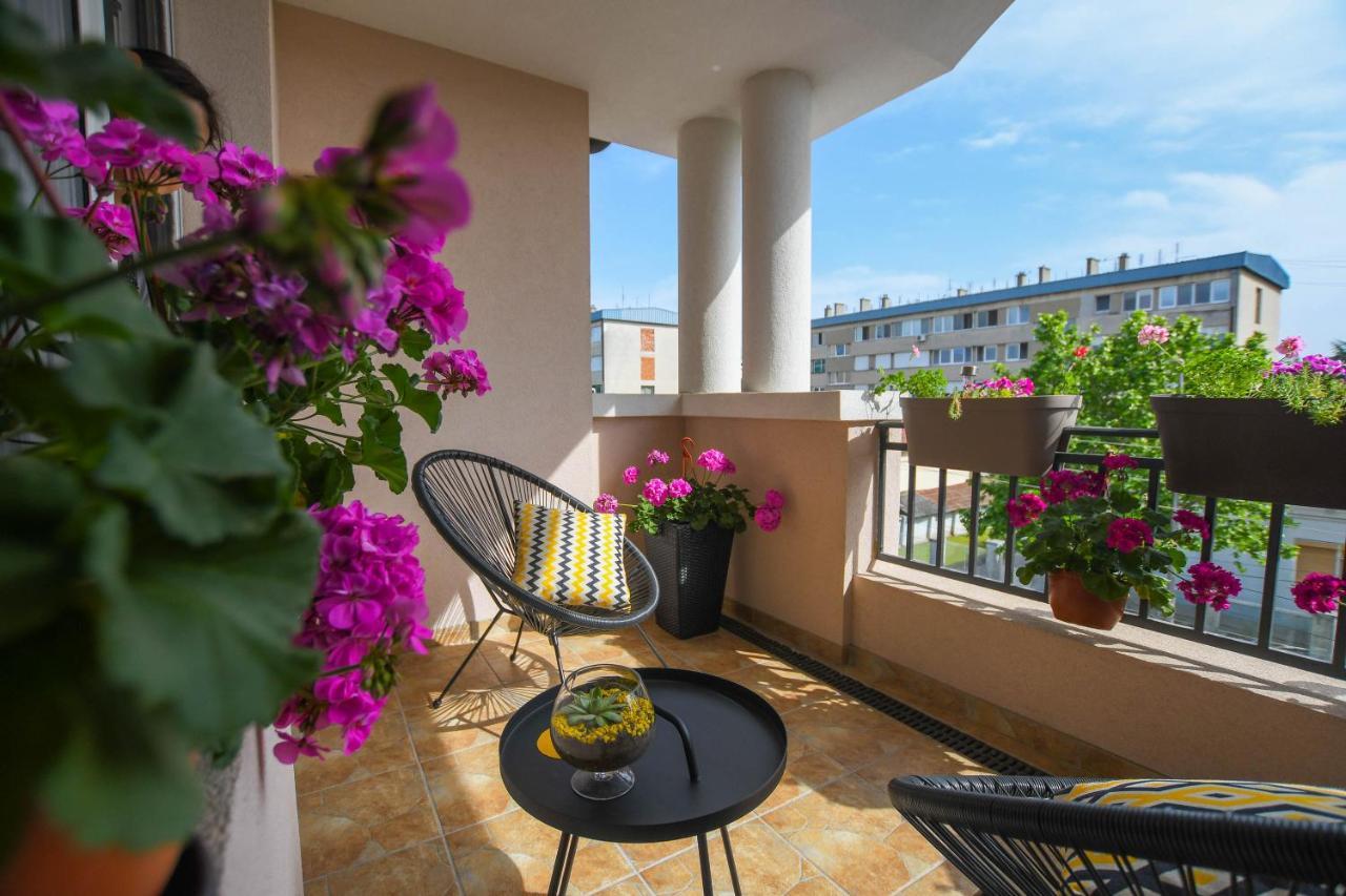 Apartment Plaza Кладово Екстериор снимка